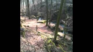 preview picture of video 'video2.mov: Mtb beaufort-berdorf.'