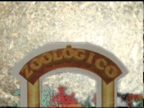 ZEZÉ MOTTA   MAGRELINHA