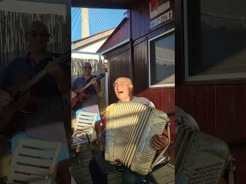 Ko to tamo peva Mica