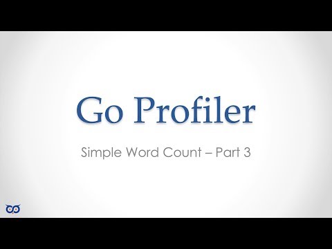 Profiling Go: The Mutex Bottleneck That CRUSHED Our Concurrent App (Ep. 18.3)
