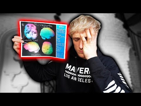 Logan Paul Brain Damage
