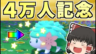 【ポケモンBDSP】感謝の気持ちを込めて色シェイミをプレゼント【ゆっくり実況】