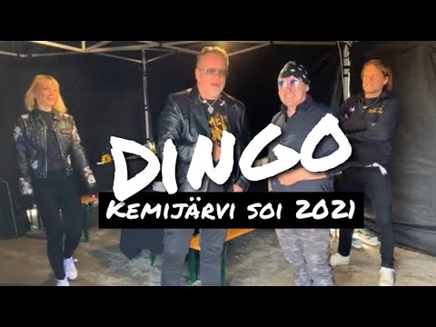 Dingo @ Kemijärvi Soi 23.7.2021