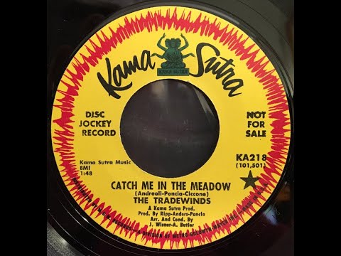 The Tradewinds – Catch Me In The Meadow 1966