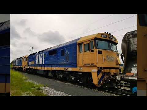 lets have a look at the NSWR 81 class diesel electric locomotive.