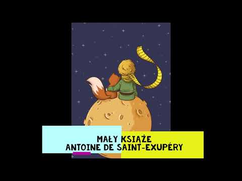 02 Mały Książę lektury szkolne audiobook  cz 17,18,19,20,21,22,23,24,25