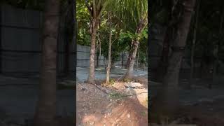  Industrial Land for Rent in Kadakola, Mysore