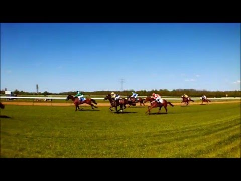 Renntag Herrenkrug Magdeburg 5.5.2016