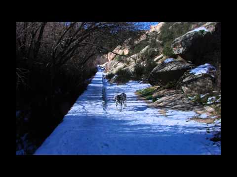 Winter Garden Eraldo Bernocchi,Harold Budd,Robin Guthrie