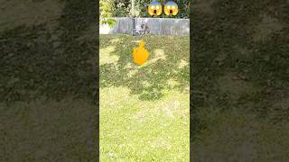 Download lagu wow 😲 mp3 Download lagu wow 😲 mp3