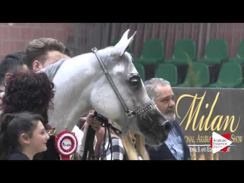 Highlights Milano 2016