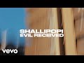 Shallipopi - Evil Receive (Official Video)