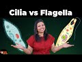 Cilia and Flagella Cell the Unit of Life