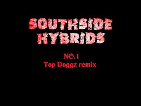 Southside Hybrids - No.1 (Top Doggz remix)