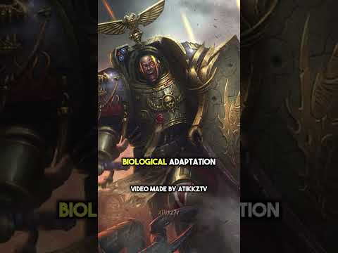 why the salamanders are different ? | WARHAMMER 40K LORe  #warhammer40k #40k