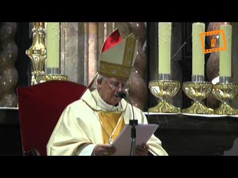 Homilía de la misa crismal