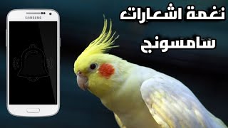 تعليم الببغاء نغمة اشعارات سامسونج 45 دقيقة