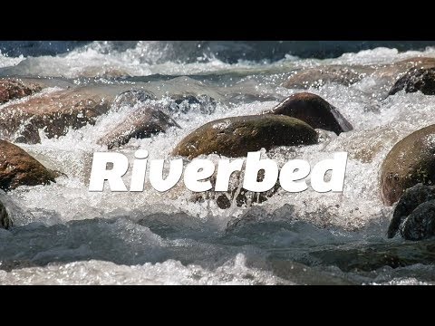 Nick Kingsley / Margot Maxine - Riverbed (DNB POP)