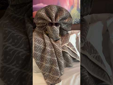 Creative Blanket Folding! Disney gave us free tickets #disneytreasure  #disneycruiseline