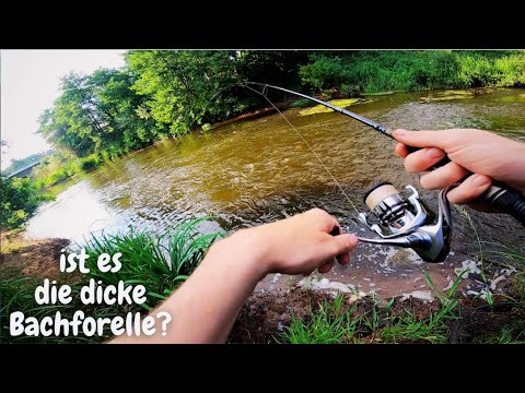Angeln am Bach Forellenangeln am Bach Dropshot Ultralight Angeln Forelle Trout Fishing