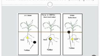 Fertilizing Strategies (phosphorus)