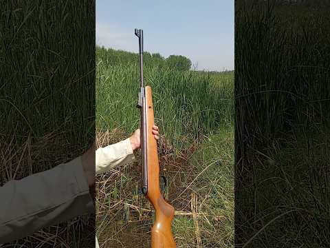 Airgun Shooting Techniques | Best Air Rifles for Hunting | Airgun Accuracy Tips | Under 10k Airguns