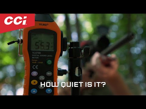 Quiet-22 Decibel Test with 22plinkster