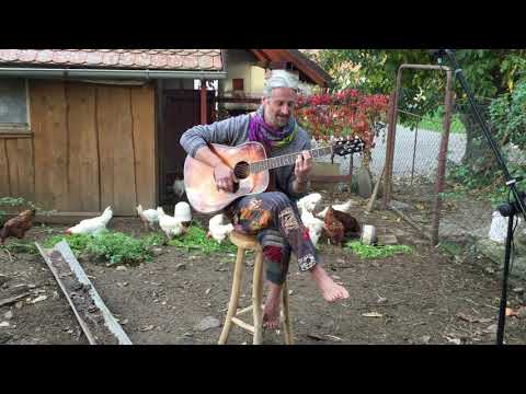 Pangumpán - Kuře v Káhiře