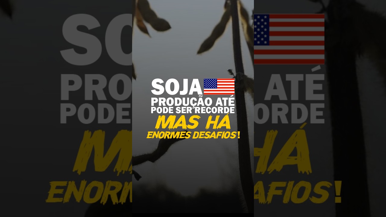 SOJA EUA: PRODUÇÃO ATÉ PODE SER RECORDE, MAS HÁ ENORMES DESAFIOS!
