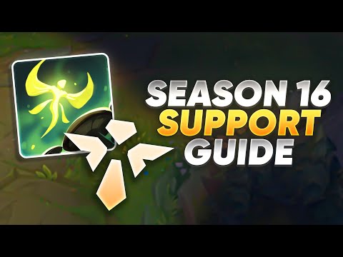 Season 16 Support Guide - Faelights, vision changes, Support Quest, Homeguards