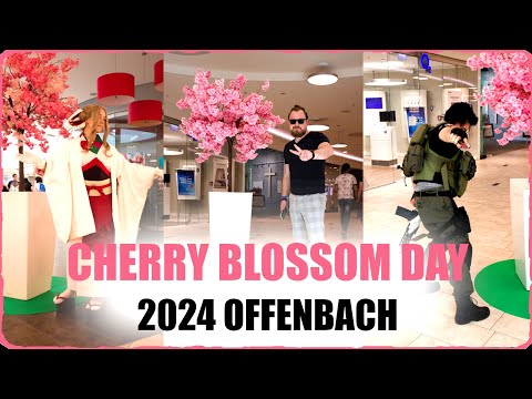 CHERRY BLOSSOM DAY 2024 Offenbach - Die besten Cosplays und Erlebnisse der Messe