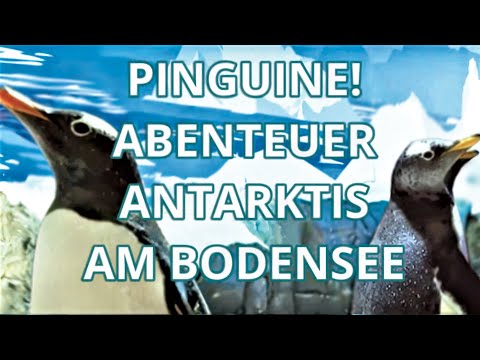 APPLAUS unterwegs | PINGUINE! ABENTEUER ANTARKTIS AM BODENSEE