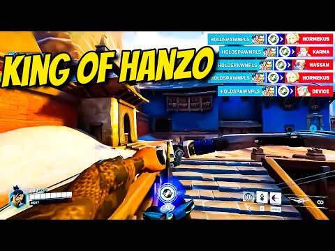 This Is What 6000+ HOURS Of HANZO Looks Like