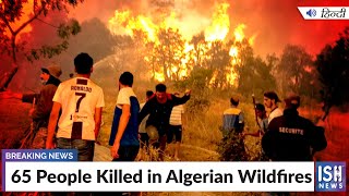 65 People Killed in Algerian Wildfires