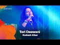 Teri Deewani | Kailash Kher | Dhaka International FolkFest 2016