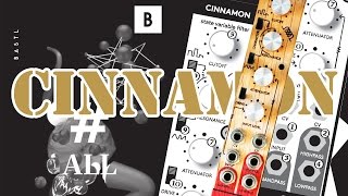 Video thumbnail for Bastl CINNAMON: VCF/VCO Quick Overview & Sound Demo #TTNM by THE TUESDAY NIGHT MACHINES