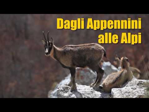 Dagli Appennini alle Alpi - Trailer