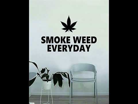 nemir rimen manes - svaki dan