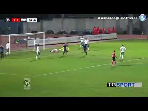 Stagione Lega Pro 2017/18 Bisceglie