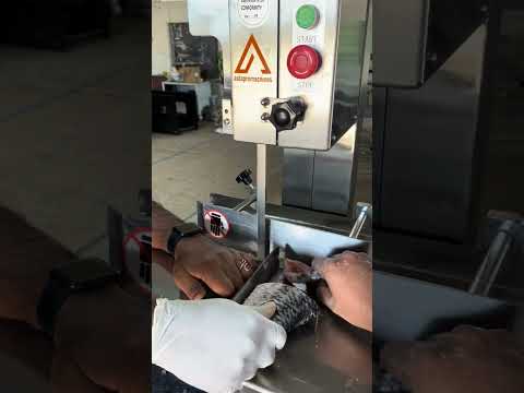 Fish Cutting Machine, 1 hp