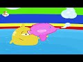 PITCH POTCH BABY TV
