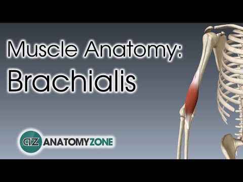 brachialis artrózis kezelése