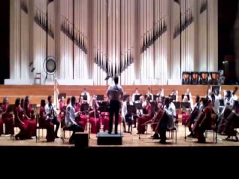 Naissus Youth Philharmonic Orchestra