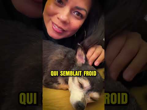 Son chien n’est pas ce qu’il paraît…