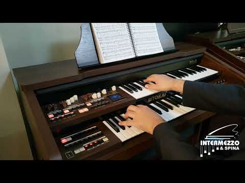 Hino - 143 “Porfiemos, irmãos, por entrar nos céus” | Órgão Tokai MD-20 | @Gabriel_Sanches