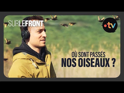 Où sont passés nos oiseaux ? (Intégrale) - Sur le front avec Hugo Clément