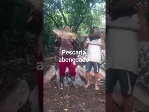 Pescaria no Cruzeiro município de Fonte Boa-am