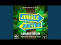 Jungle Junction Main Theme From Jungle Junction
