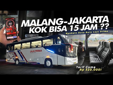 HARUS SABAR... PEMAIN BARU TAPI KOK BEGINI ⁉️ - Nyobain Rute Baru LAJU PRIMA Malang-Jakarta #Lifka