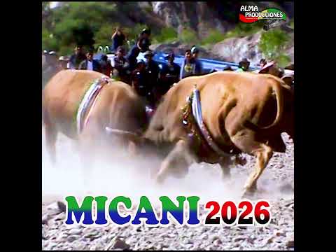 Fiesta de la Cruz de MICANI 2026 T.."Huaycho-Cosmer".#shortsviral  #almaproduccionesbolivia #toros